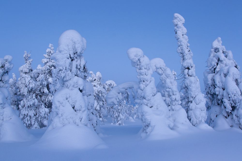 Photograph by Роман Борисов