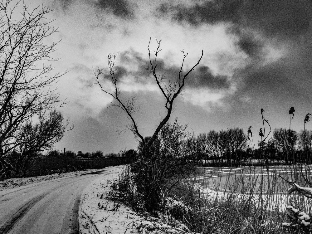 Photograph by Александр Воронов