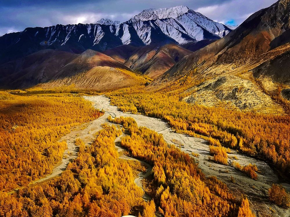 Рука Осени - Hand of Autumn