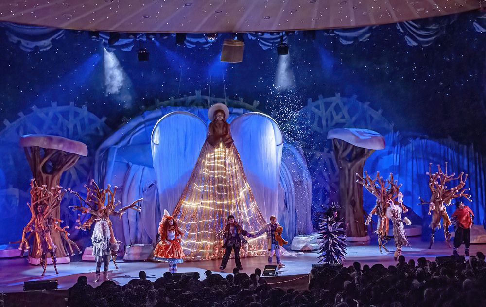 Photograph by Vladimir  Komarov