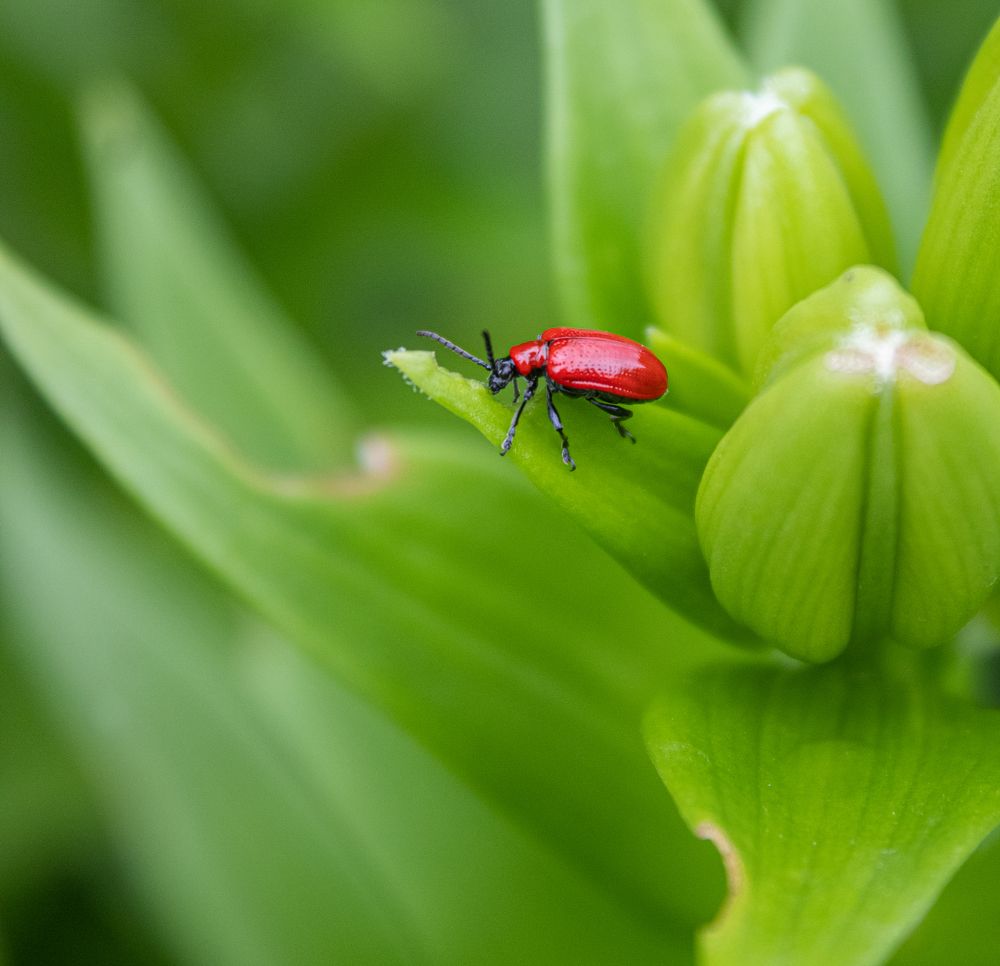 Photograph by Герман Корнеев