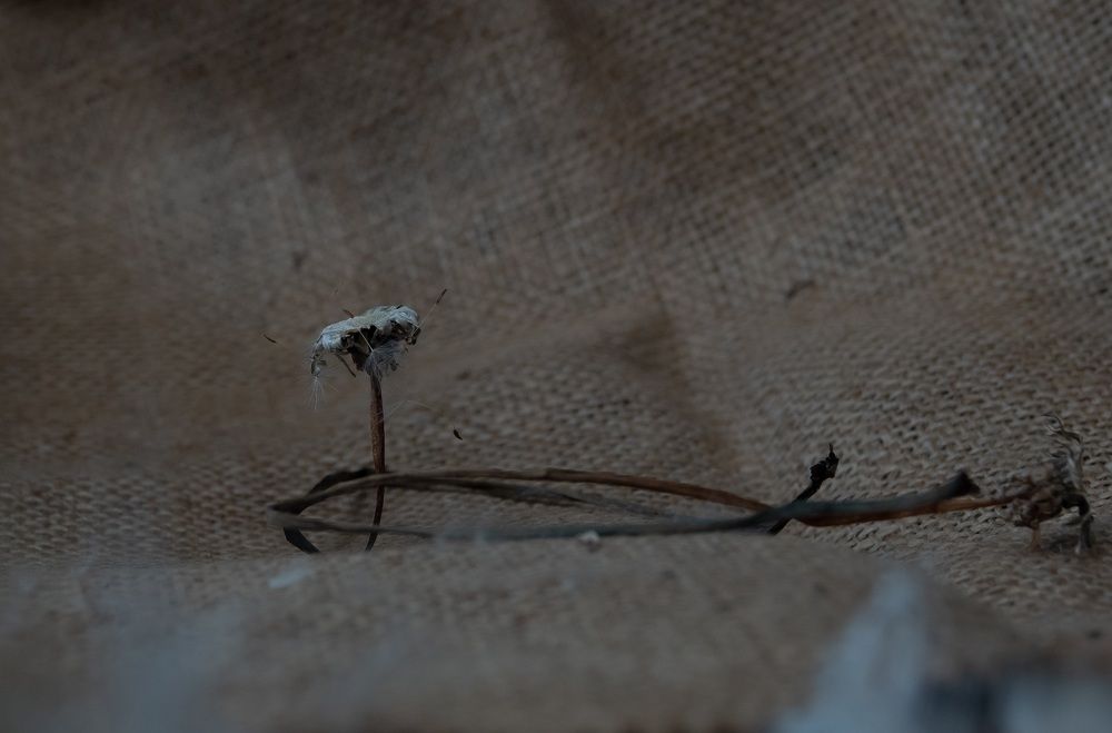 Photograph by Валентина Тагильцева