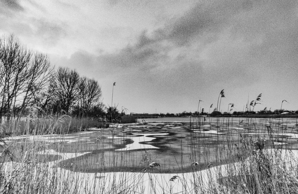 Photograph by Александр Воронов