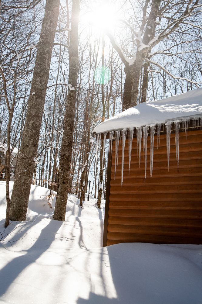 Photograph by Ольга Богданова