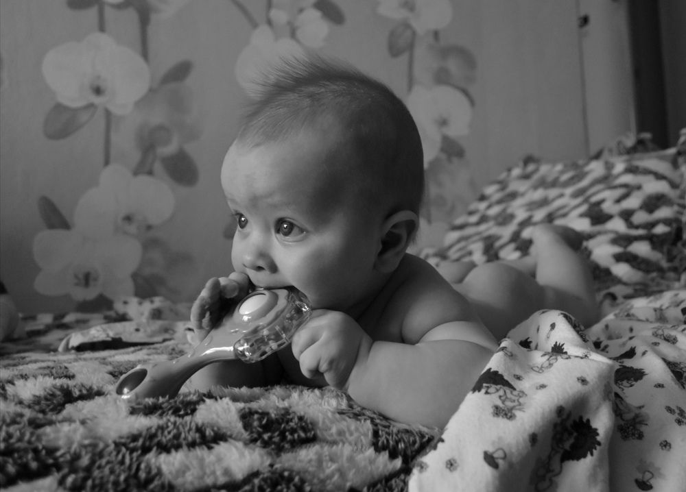 Photograph by Светлана