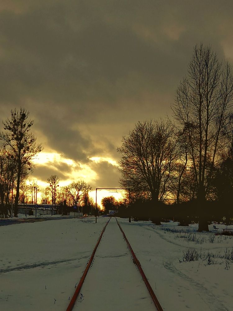 Photograph by Svetlana