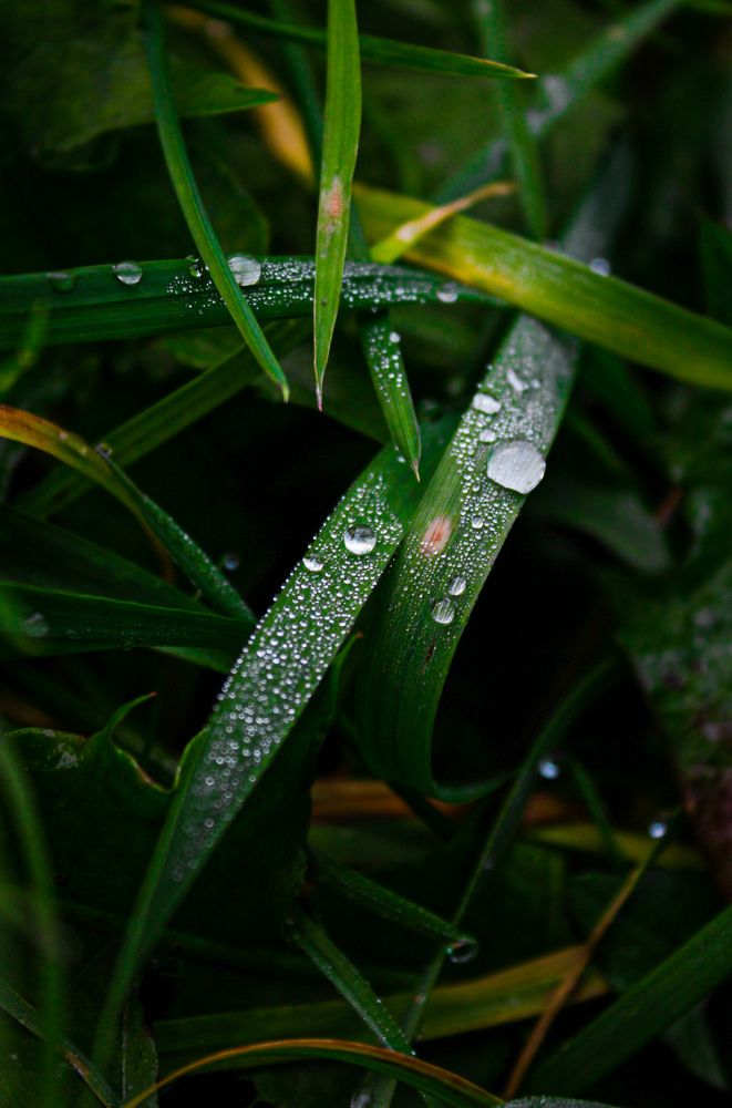 Photograph by Герман Корнеев