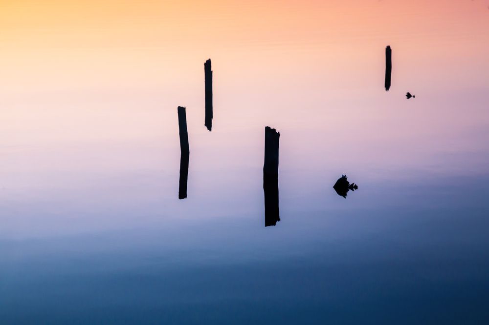 Photograph by Сергей Чарушин