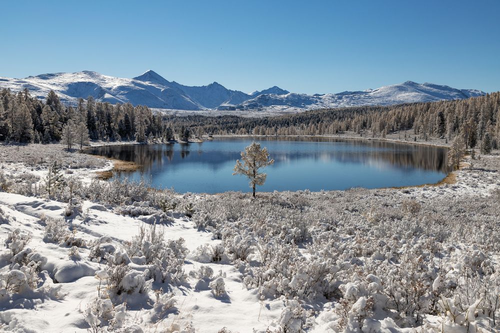 Photograph by Pavel Klishin