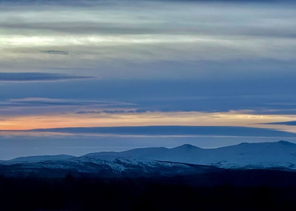 Фотография автора Юлия Шумейко