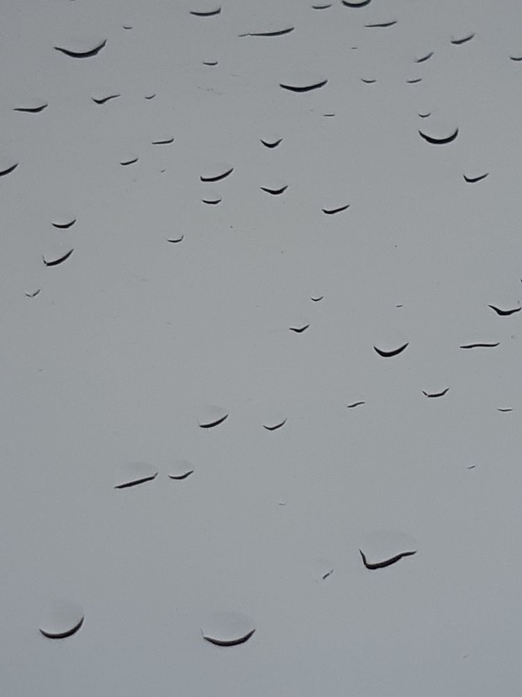 Photograph by Марина Рафаелян