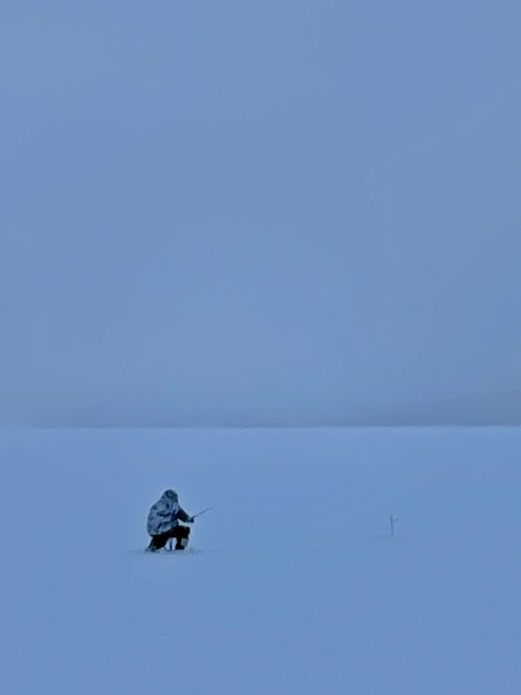 Фотография автора Юлия Шумейко