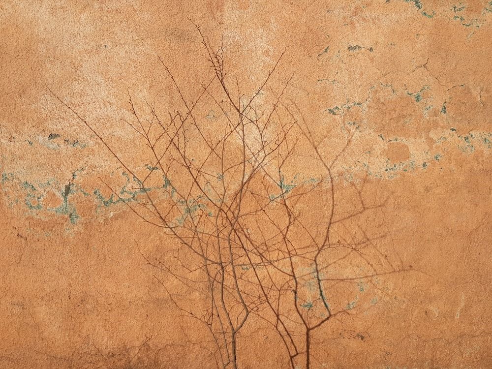 Photograph by Марина Рафаелян