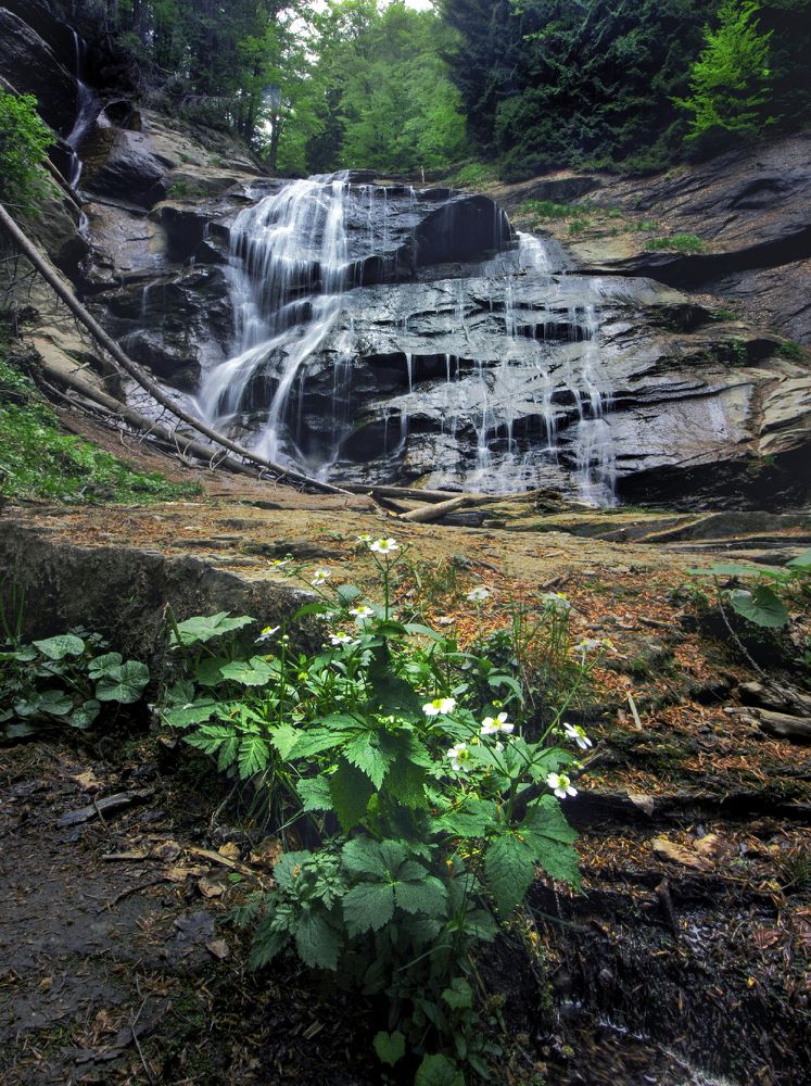 Photograph by muhamed borovic