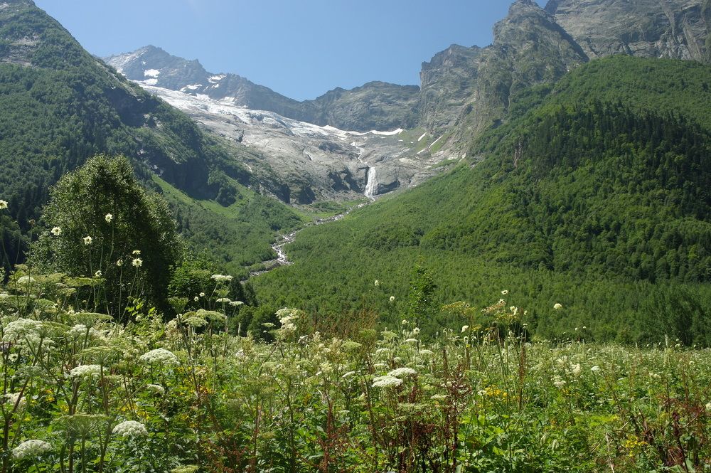 Photograph by Ирина Дронова