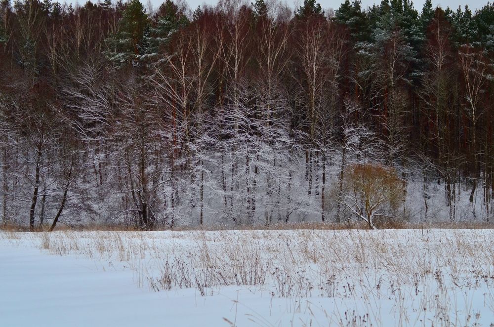 Photograph by Сергей Симаков