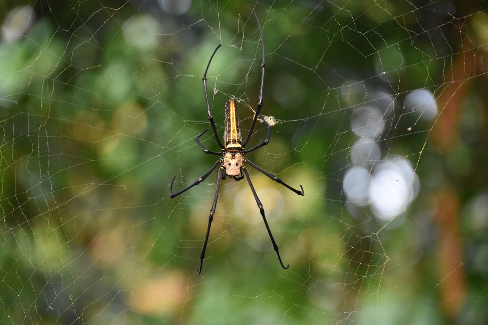 Photograph by Anna Platonova