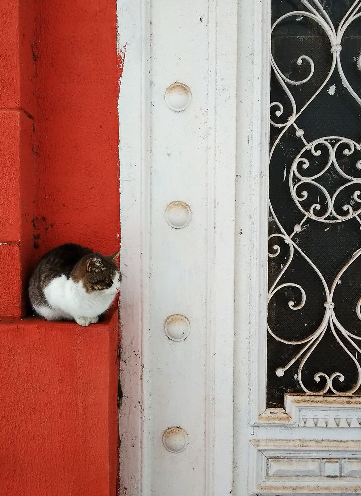 Photograph by Дарья Александровна