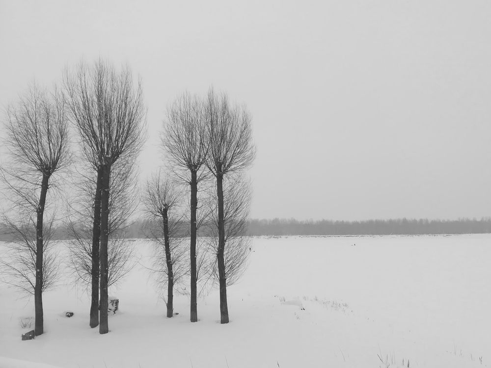 Photograph by Светлана Батурова