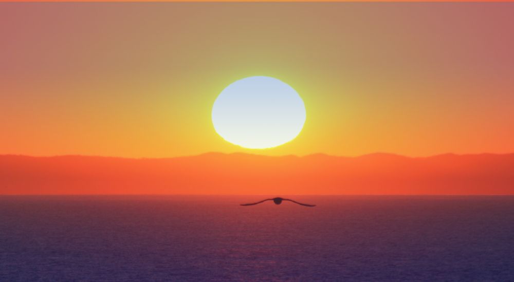 Photograph by Vadim Cherepanov