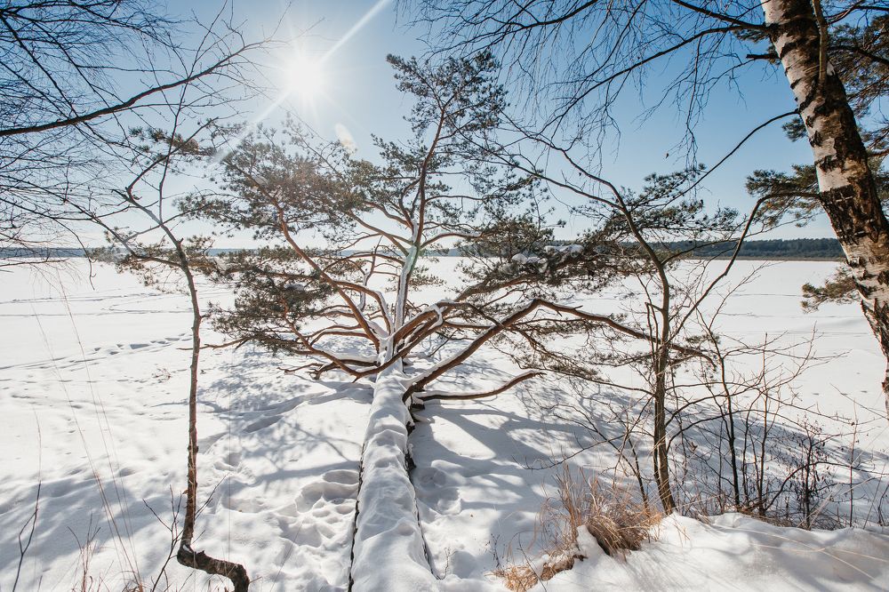 Photograph by Елена Иванова