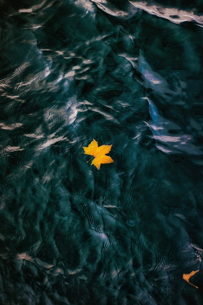 Photograph by Дарья Вега