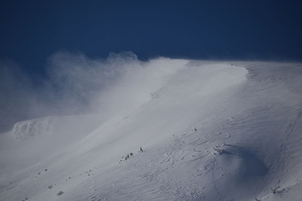 Photograph by Anna Platonova