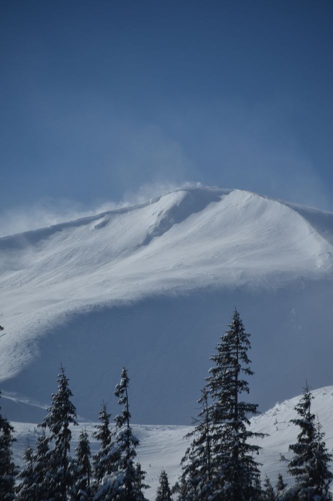 Photograph by Anna Platonova