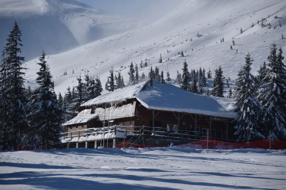 Photograph by Anna Platonova