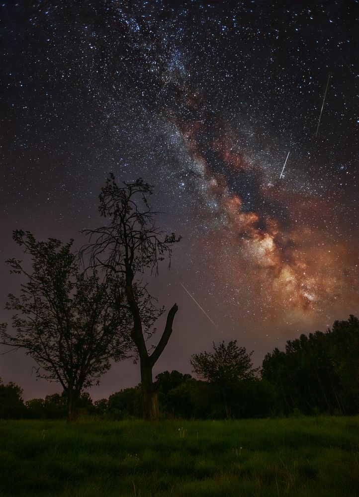 Photograph by Martin Kucera