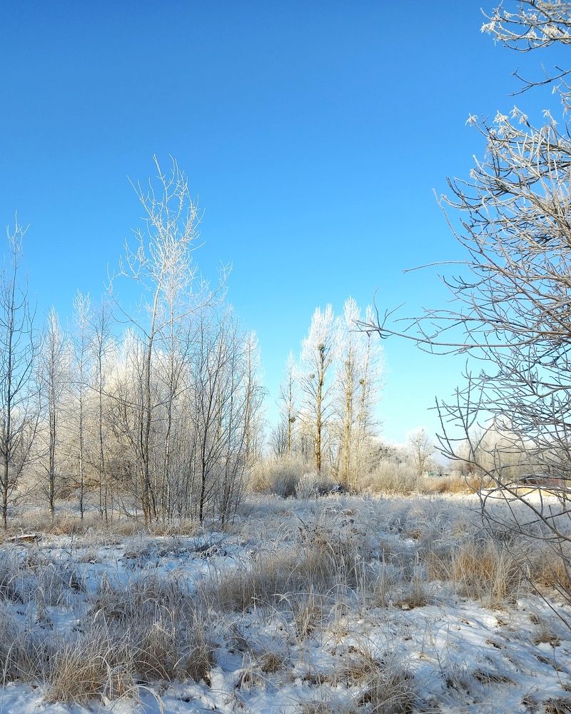 Photograph by Svetlana Yurasova