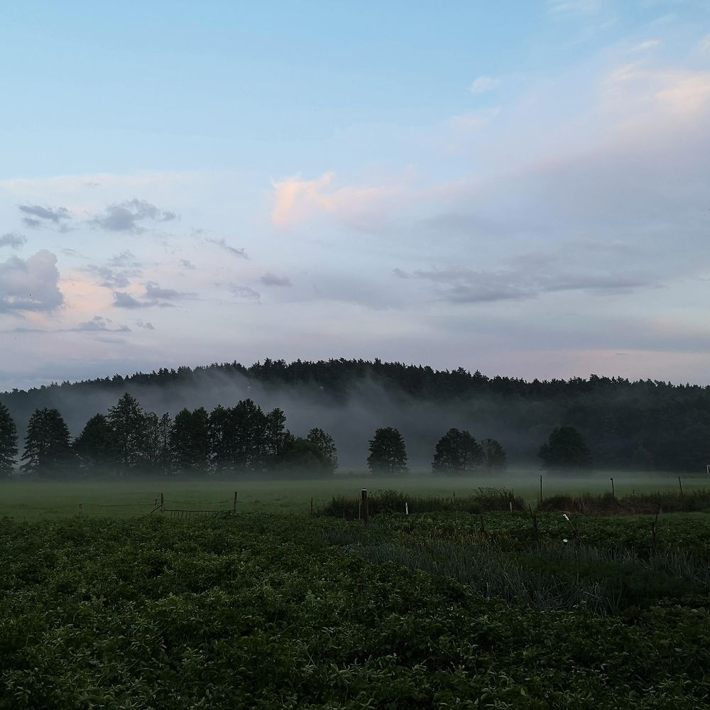 Photograph by Ксения Трофимович