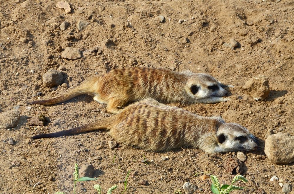 Photograph by Александра Гончаренко Александра Гончаренко