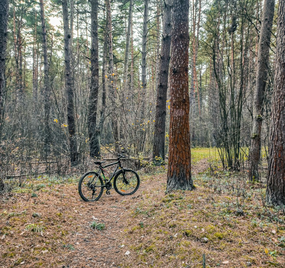 Photograph by Герман Корнеев