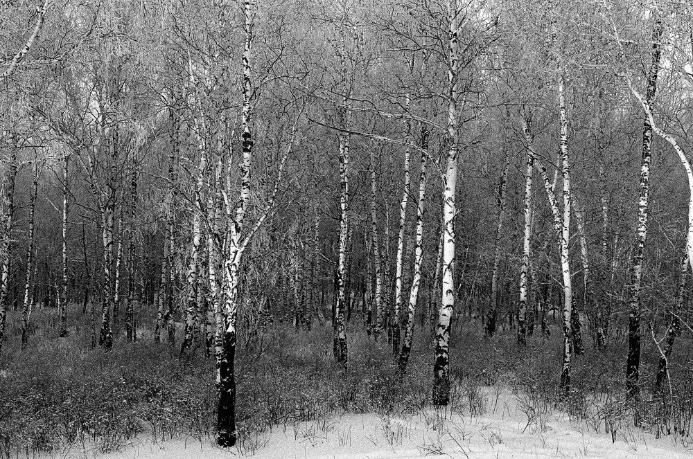 Photograph by Victor Karzhanov
