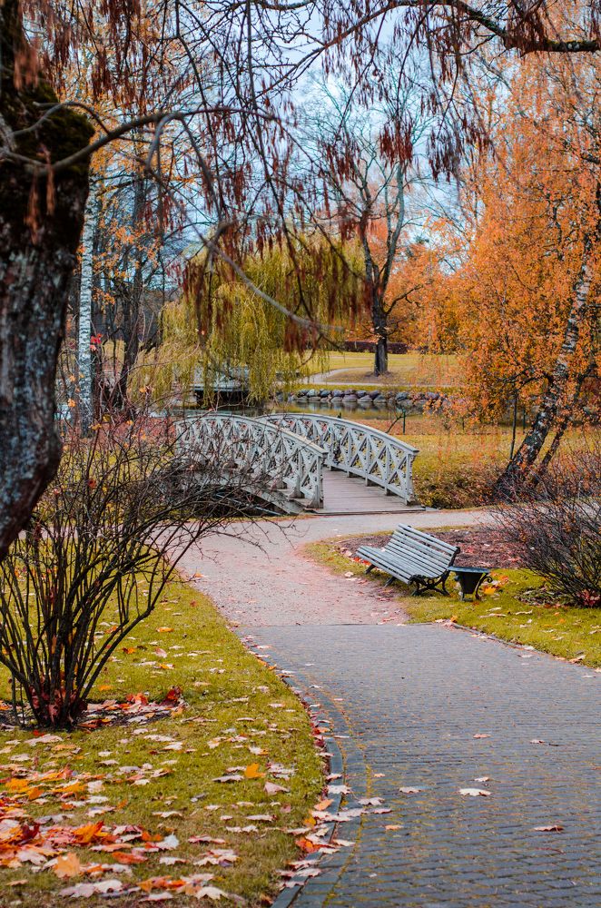 Photograph by Vladislava Eistere