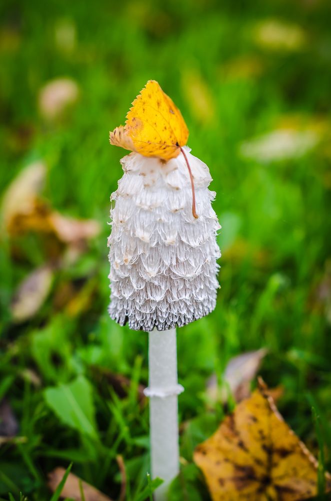 Photograph by Vladislava Eistere