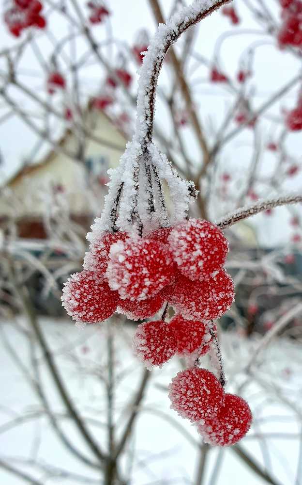 Photograph by Ирина Кузнецова