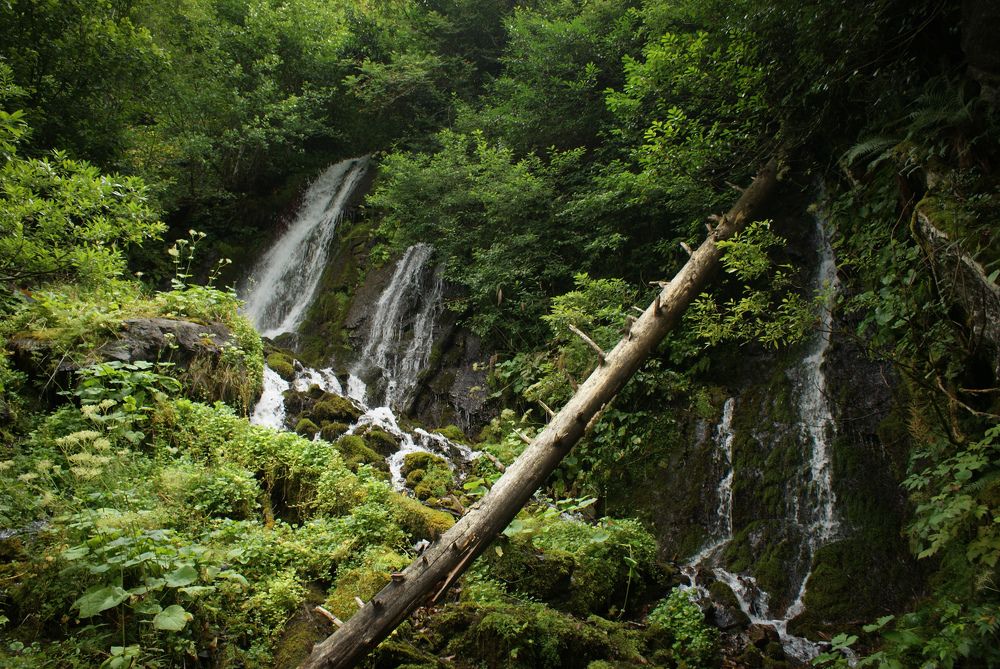 Photograph by Наталья Рогова