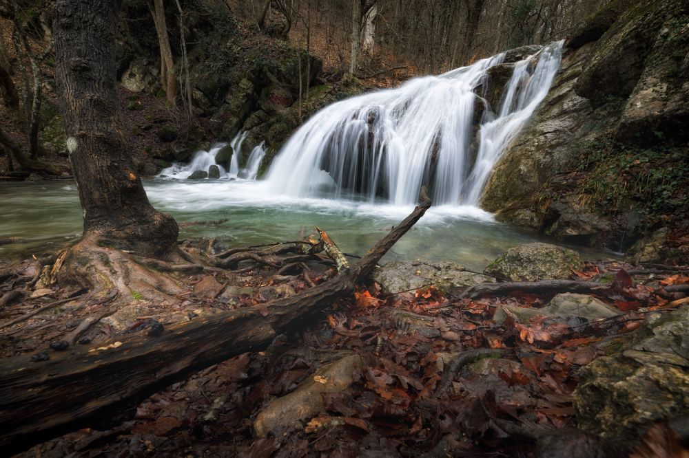 Photograph by ОЛЬГА КОВАЛЁВА