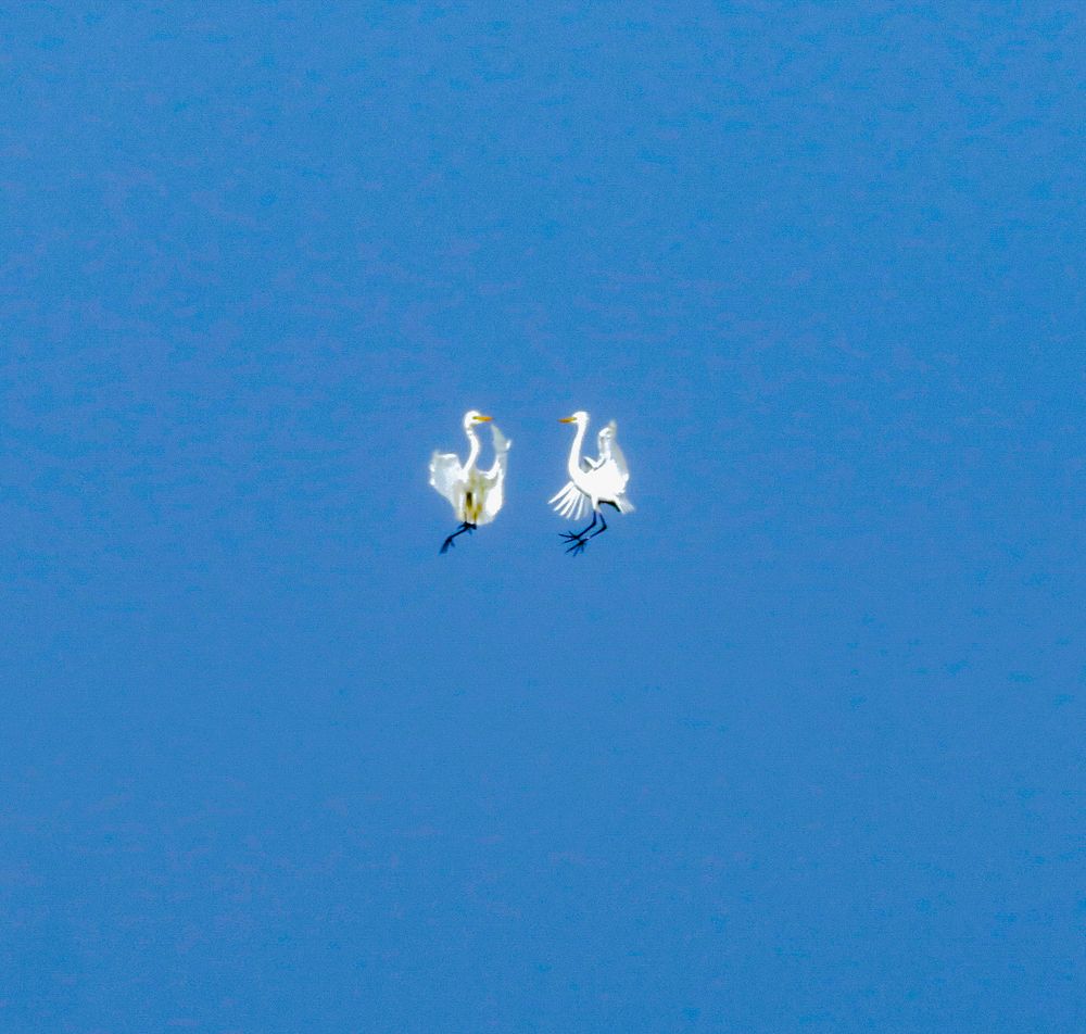 Photograph by Susmita Paul