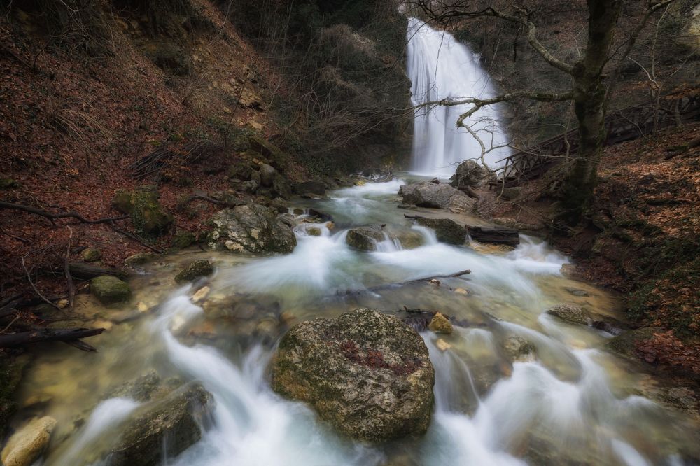 Photograph by ОЛЬГА КОВАЛЁВА