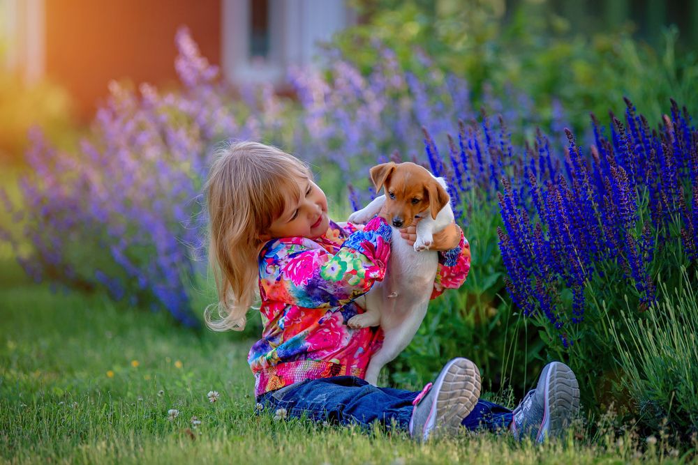 Photograph by Светлана Чижова