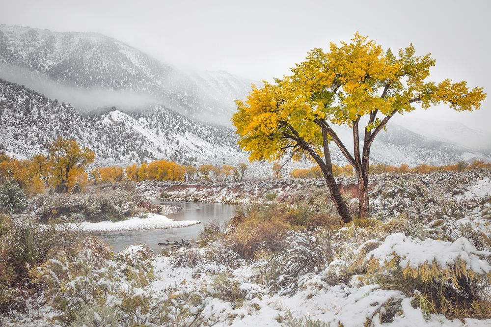 When Fall meets Winter