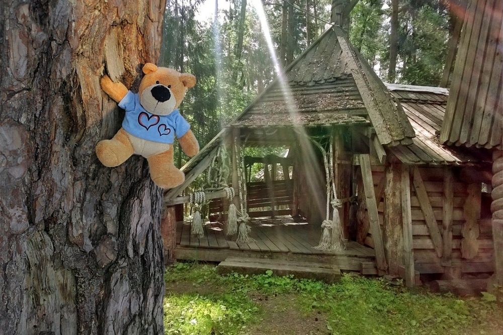 Медвежий угол