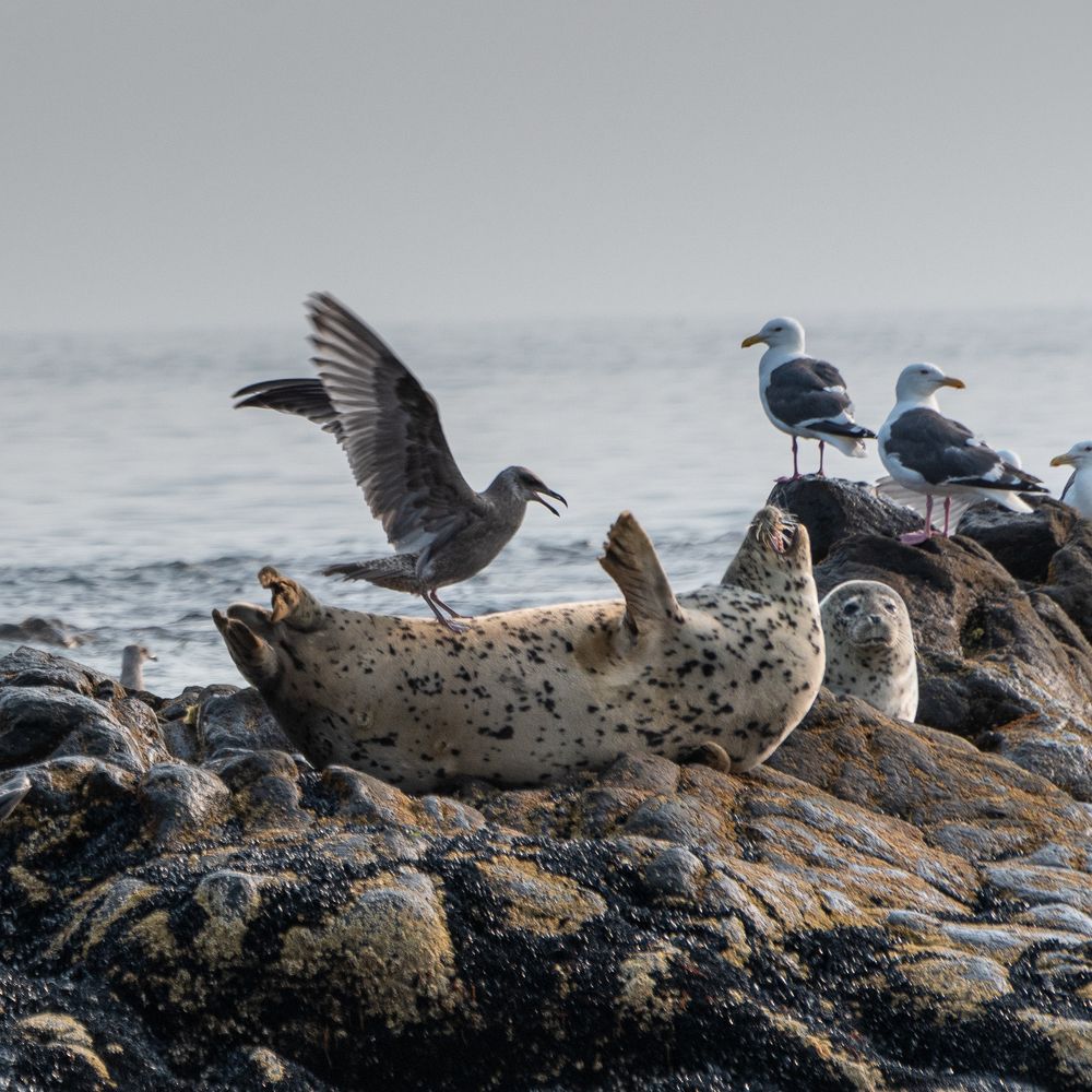 Photograph by Elena Gureva