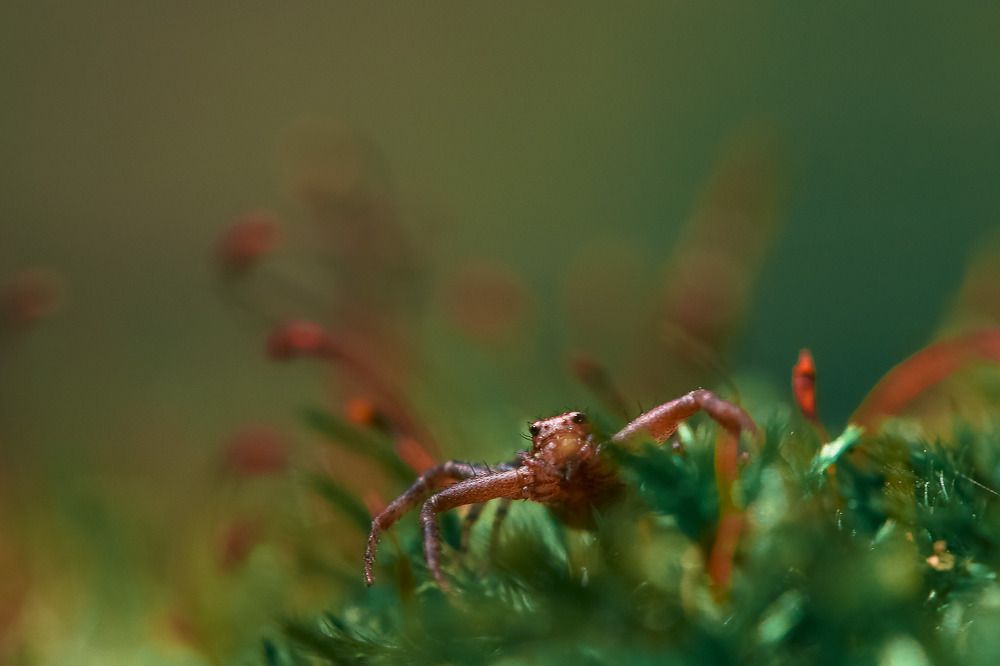 Photograph by Белицкая Наталия