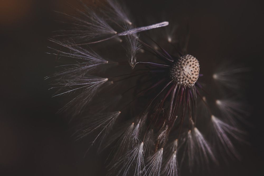 Photograph by Белицкая Наталия