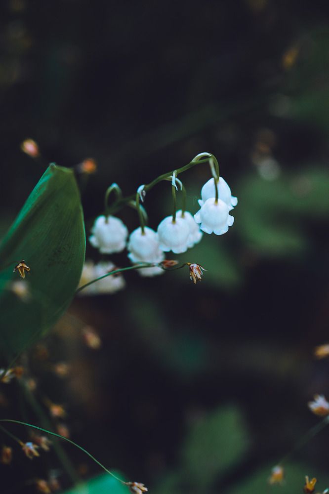 Photograph by Белицкая Наталия