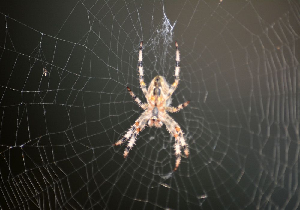 Photograph by Екатерина Крючкова